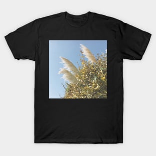 Pampas Grass T-Shirt